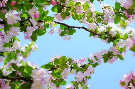 1ddcda71ff8e5c8aa3b9028028761649.jpg 1ddcda71ff8e5c8aa3b9028028761649.jpg