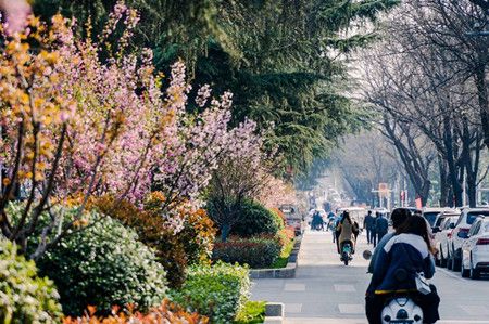 778690467d06c7cf8dae399376b02de3.jpg 778690467d06c7cf8dae399376b02de3.jpg