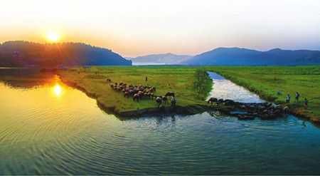 1666feaf9d47567831150475467805fd.jpg 1666feaf9d47567831150475467805fd.jpg