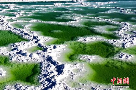 2a6230ea5f1ba332d491bfcb40c0b7a7.jpg 2a6230ea5f1ba332d491bfcb40c0b7a7.jpg