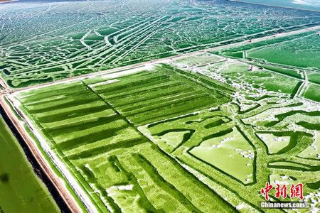 7d0cb4f7190635873d0ffc15e7738ce9.jpg 7d0cb4f7190635873d0ffc15e7738ce9.jpg