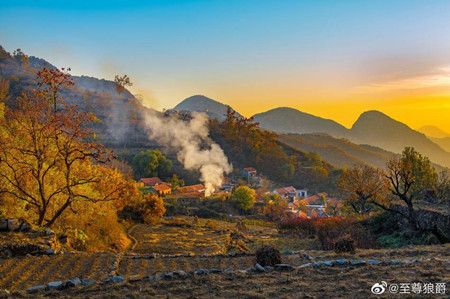 27d2dc36fefb0c8b6b062ad5a10d38fa.jpg 27d2dc36fefb0c8b6b062ad5a10d38fa.jpg