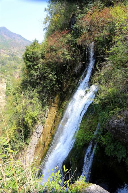 2aa357c53eadd591682805d072a72684.jpg 2aa357c53eadd591682805d072a72684.jpg