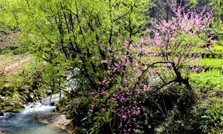 816410fd5af6feb81de69dd5cb71493c.jpg 816410fd5af6feb81de69dd5cb71493c.jpg