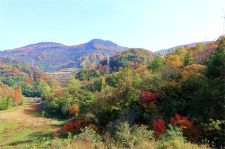 a042c249be7004f1e3c73154aadef52e.jpg a042c249be7004f1e3c73154aadef52e.jpg