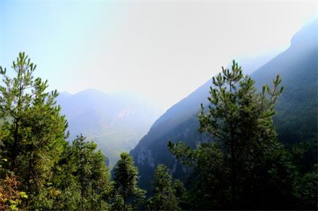 bb5413a81ea6a81ae4eff43910a0a2f5.jpg bb5413a81ea6a81ae4eff43910a0a2f5.jpg