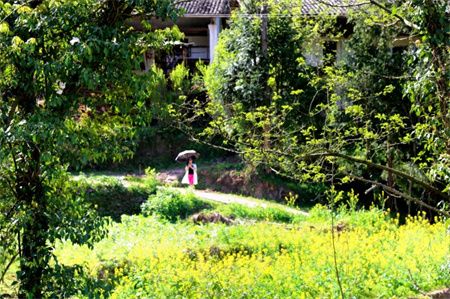 d2c13c1cdb8b3a3ebf301a52bb706490.jpg d2c13c1cdb8b3a3ebf301a52bb706490.jpg