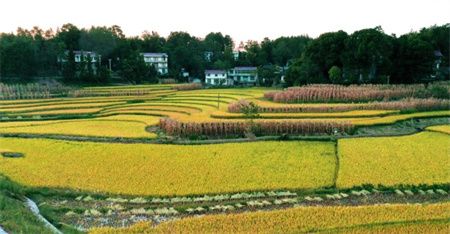 fb38b033fbd96079563a501bec9a481c.jpg fb38b033fbd96079563a501bec9a481c.jpg