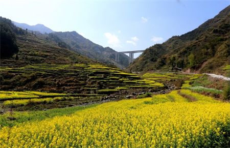 af5c8f0e5ffa743632de85e4d6078512.jpg af5c8f0e5ffa743632de85e4d6078512.jpg