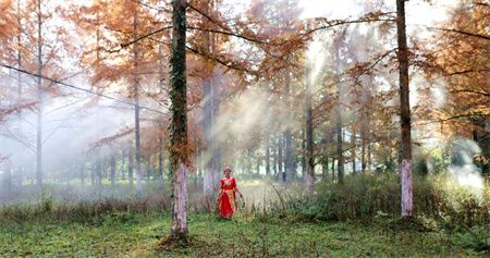 13de25ab8f1a64b8149e49ccb2bcea00.jpg 13de25ab8f1a64b8149e49ccb2bcea00.jpg