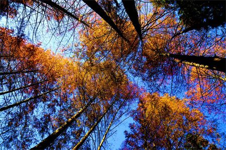 e2a7340bbcb98c03f6c99b51bce6fdd8.jpg e2a7340bbcb98c03f6c99b51bce6fdd8.jpg