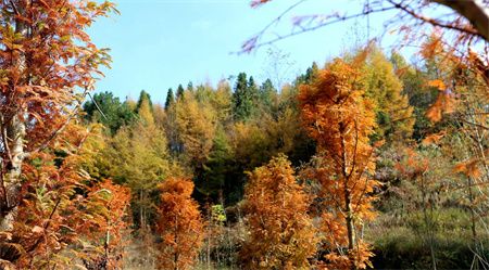 7e9e3d084abe4af2afb63845c4fdd29c.jpg 7e9e3d084abe4af2afb63845c4fdd29c.jpg