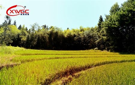 8744b61f59bf7c3fb5b13d8b11e5312f.jpg 8744b61f59bf7c3fb5b13d8b11e5312f.jpg