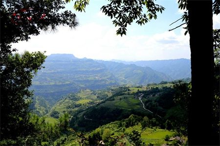 d15872045d4e56543aeabf6b0a1c2ee5.jpg d15872045d4e56543aeabf6b0a1c2ee5.jpg