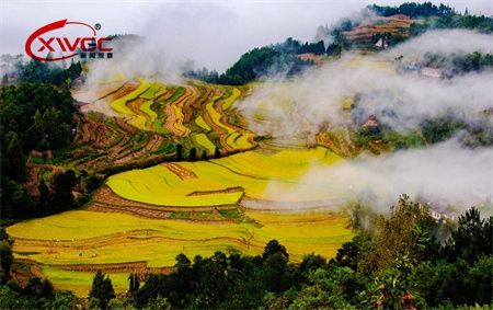 e479bcf3b7f323226e8db8fab69ffbcb.jpg e479bcf3b7f323226e8db8fab69ffbcb.jpg