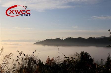 0144e75f80dc0b1085a54ecb7464d807.jpg 0144e75f80dc0b1085a54ecb7464d807.jpg