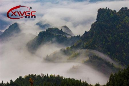 b26eb6996a6788500dfe38a91b8768f8.jpg b26eb6996a6788500dfe38a91b8768f8.jpg