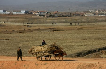 91864612f6545b60cbfcdca55624cf8a.jpg 91864612f6545b60cbfcdca55624cf8a.jpg