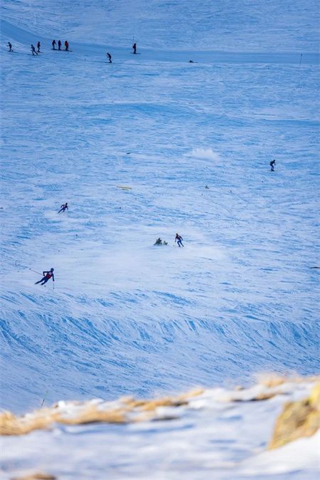 8af2de3dcfd5c9bc008508248a594cd8.jpg 8af2de3dcfd5c9bc008508248a594cd8.jpg