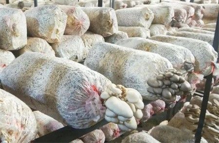 75f1885ad13781e91b1867219bdf2ac3.jpg 75f1885ad13781e91b1867219bdf2ac3.jpg