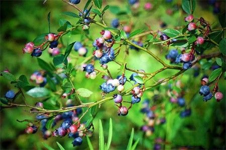 a2b82ed87090fed749951b98ea4f8399.jpg a2b82ed87090fed749951b98ea4f8399.jpg