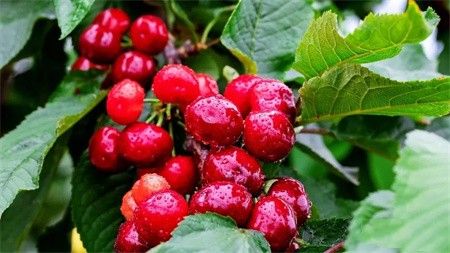 cc85940accfe7444d43c8dd718167a1b.jpg cc85940accfe7444d43c8dd718167a1b.jpg