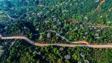 d1506b8caaf978d372985bcf389f5a8e.jpg d1506b8caaf978d372985bcf389f5a8e.jpg