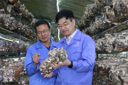 1c56faa957eeae0f5265dd5de91ba3d0.jpg 1c56faa957eeae0f5265dd5de91ba3d0.jpg