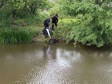 ddc39ef81d294ab4b1b4911e8f5fe82c.jpg ddc39ef81d294ab4b1b4911e8f5fe82c.jpg