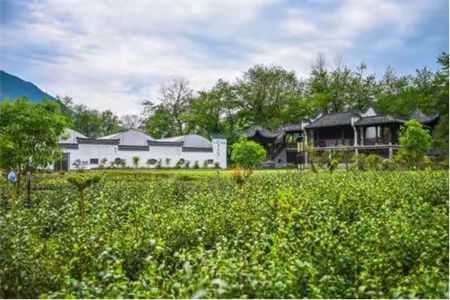 a77faa4d47750408f5e87504c41d88a1.jpg a77faa4d47750408f5e87504c41d88a1.jpg