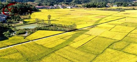 a2dc4914bdb48866fde53366a71335d5.jpg a2dc4914bdb48866fde53366a71335d5.jpg