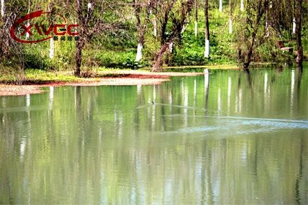 a7e9f1d751509bf1cd1ac40c7892897f.jpg a7e9f1d751509bf1cd1ac40c7892897f.jpg