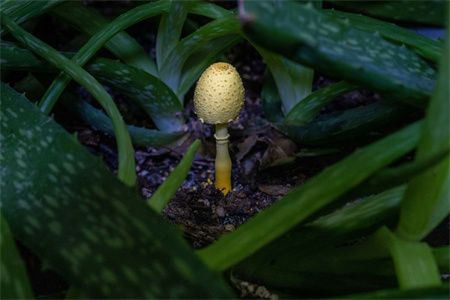 4a381fc7bb57879d56ae170d7eb076c4.jpg 4a381fc7bb57879d56ae170d7eb076c4.jpg