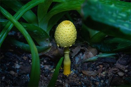 7700ceae5f1a3b2dc5ffc8060b0d2fdb.jpg 7700ceae5f1a3b2dc5ffc8060b0d2fdb.jpg