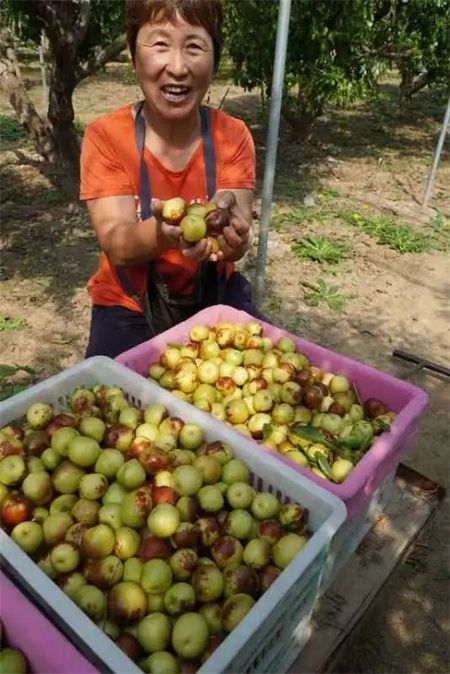 aa99f6a69cde75d43357c1d79eaa42eb.jpg aa99f6a69cde75d43357c1d79eaa42eb.jpg