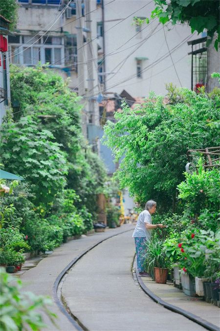 00e1bc5da155393224489b3787773b2d.jpg 00e1bc5da155393224489b3787773b2d.jpg