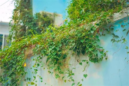 1fb8f0ab34e7c2fa4d798582f52052bc.jpg 1fb8f0ab34e7c2fa4d798582f52052bc.jpg