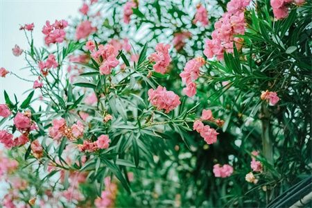 21f0174e1d0dc8546245c35242e7bd75.jpg 21f0174e1d0dc8546245c35242e7bd75.jpg