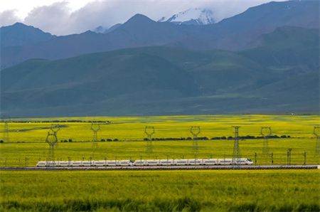 7c5c2fc30d6fdd106dd29bd52c9b5070.jpg 7c5c2fc30d6fdd106dd29bd52c9b5070.jpg