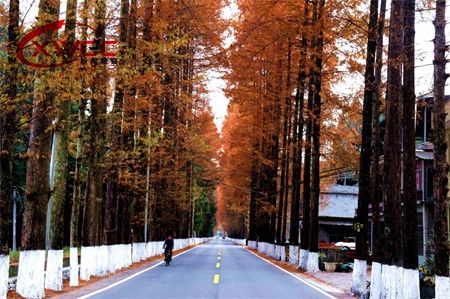 c666abcdb3f26b871bae2452f5075719.jpg c666abcdb3f26b871bae2452f5075719.jpg