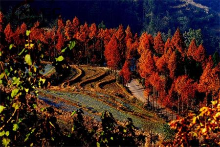 ddfc2f70fc2d163d18abe3ea4d9c0fe7.jpg ddfc2f70fc2d163d18abe3ea4d9c0fe7.jpg