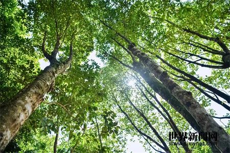 6af4710652b18a838bd9c7f71be381aa.jpg 6af4710652b18a838bd9c7f71be381aa.jpg