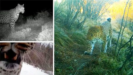 963d3ca85d00abc63506abf56adab7dd.jpg 963d3ca85d00abc63506abf56adab7dd.jpg