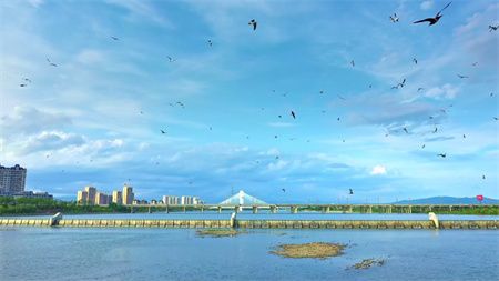 a18351014bcf85c92a55ec45bb420724.jpg a18351014bcf85c92a55ec45bb420724.jpg