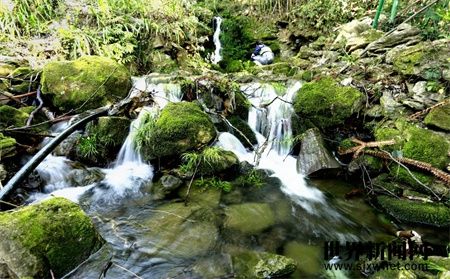 7d6ae353f52344efb46467008419696a.jpg 7d6ae353f52344efb46467008419696a.jpg