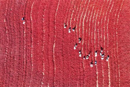 2700f2c4c4685e30c076d16a5649c8a9.jpg 2700f2c4c4685e30c076d16a5649c8a9.jpg