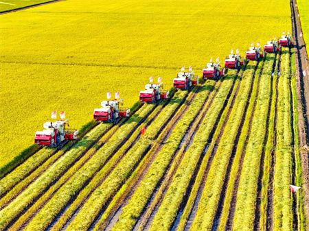 49e5d804f79bcfebb69a3dec6c4d214b.jpg 49e5d804f79bcfebb69a3dec6c4d214b.jpg