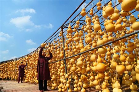 50ddef0a0ef5625def936e8a48e94c21.jpg 50ddef0a0ef5625def936e8a48e94c21.jpg