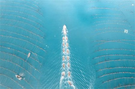 74c0dff0ba4910f0d0c7d4648dca0f9c.jpg 74c0dff0ba4910f0d0c7d4648dca0f9c.jpg