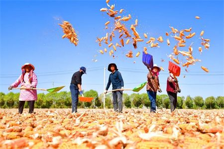 aec9f94932a084fe71e63fd1dc23579b.jpg aec9f94932a084fe71e63fd1dc23579b.jpg